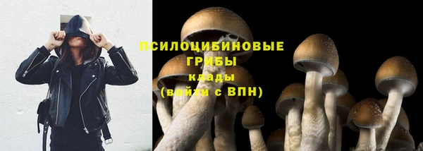 mdpv Елизово