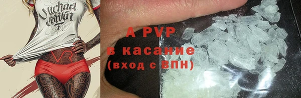 стафф Заводоуковск