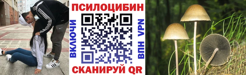где купить наркоту  Белоярский  ОМГ ОМГ зеркало  Галлюциногенные грибы Psilocybe 